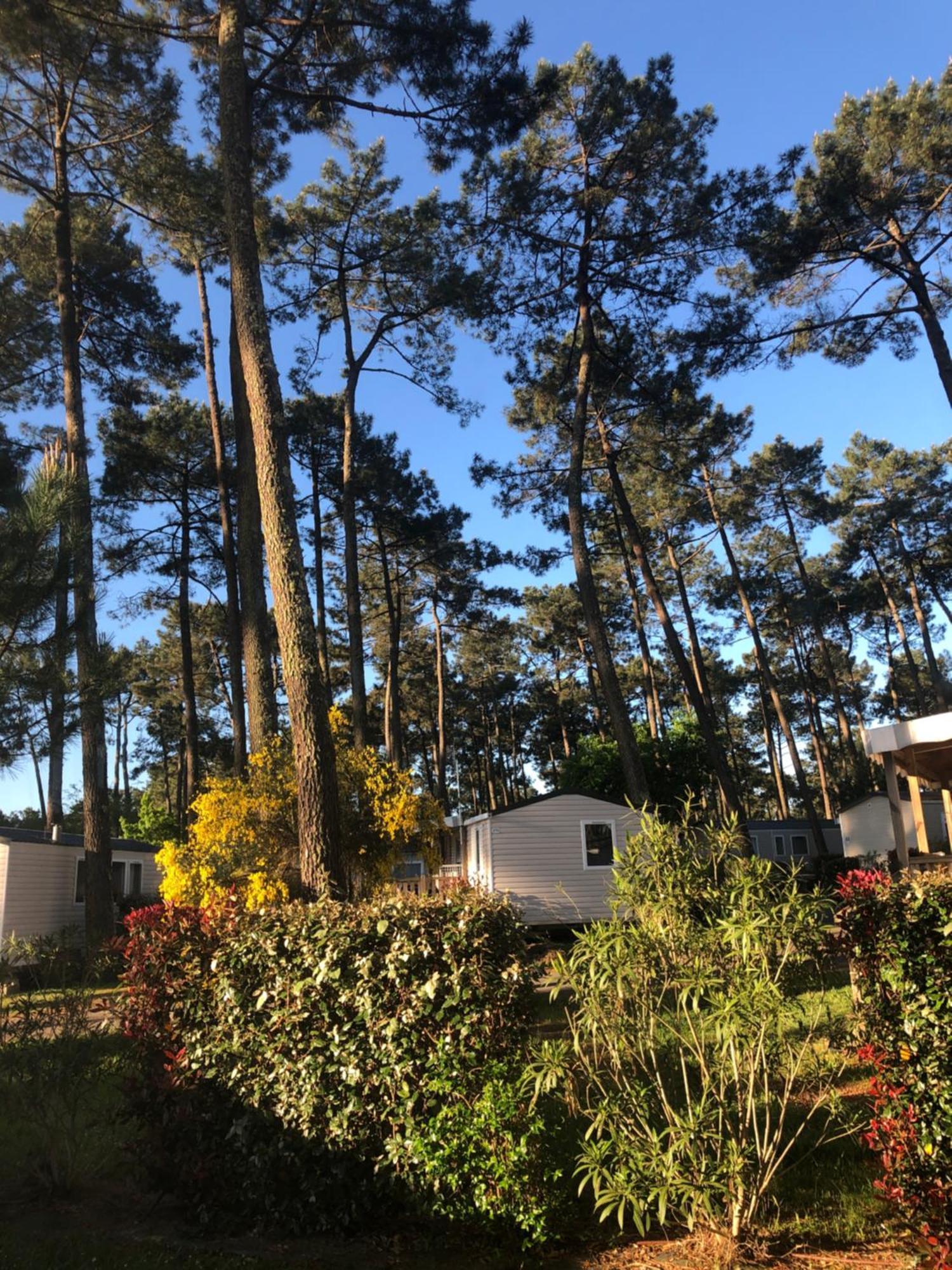 Mobile Home - Les Dunes De Contis Saint-Julien-en-Born Bagian luar foto